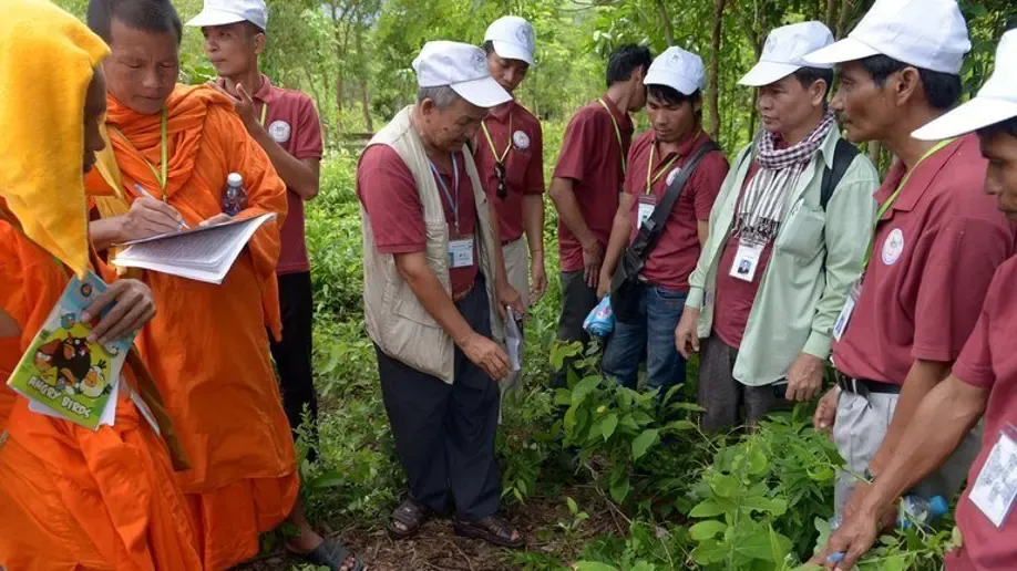 The Survival of Traditional Khmer Medicine in the Modern World