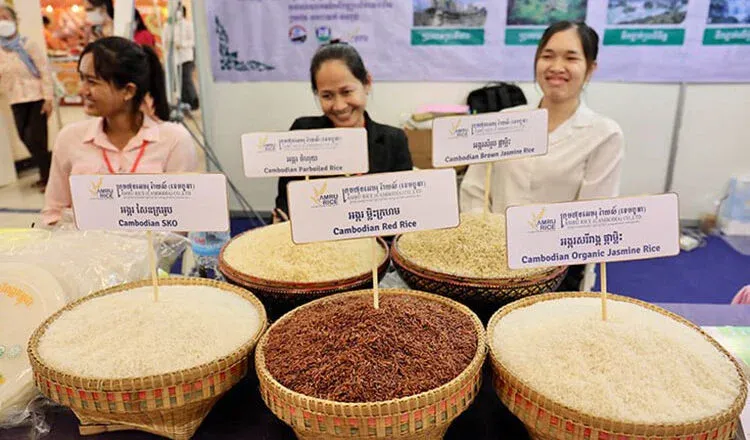 Cambodian Rice Federation to Lead Delegation to ANUGA 2025 in Germany