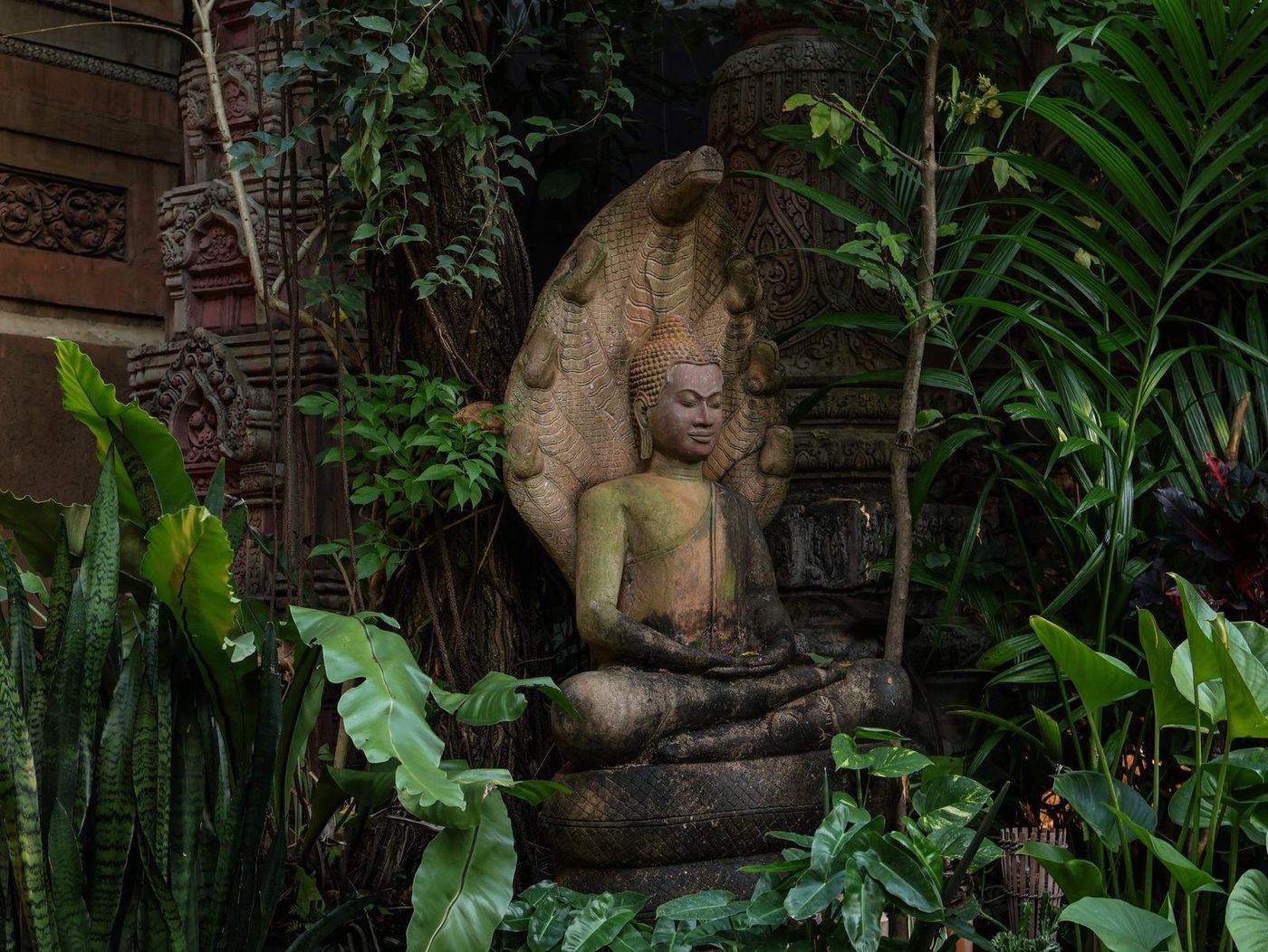 Theams Gallery