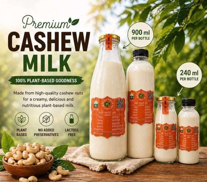 Cambodian Students Create Homegrown Cashew Milk as Kingdom Pushes for Agricultural Innovation